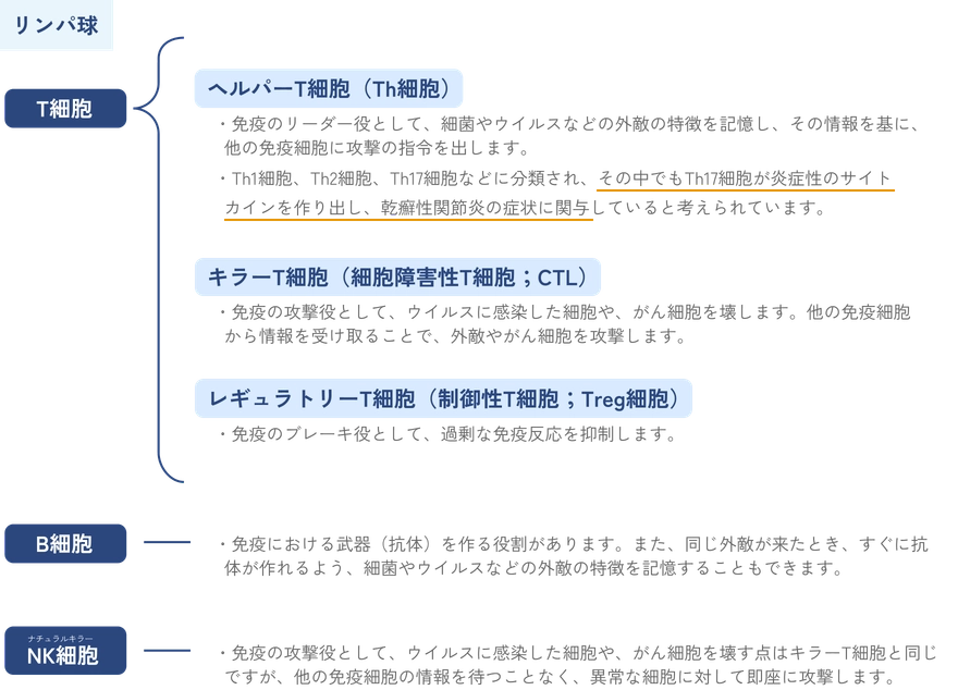 T細胞の種類と役割を中心に、リンパ球の分類を解説した図。ヘルパーT細胞、キラーT細胞、レギュラトリーT細胞それぞれの働きに加え、B細胞やNK細胞の機能も紹介。